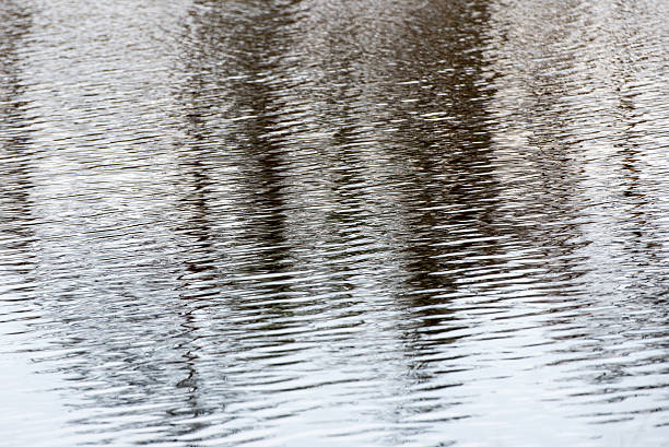 istock abstract reflection of colorful autumn landscape 526038567