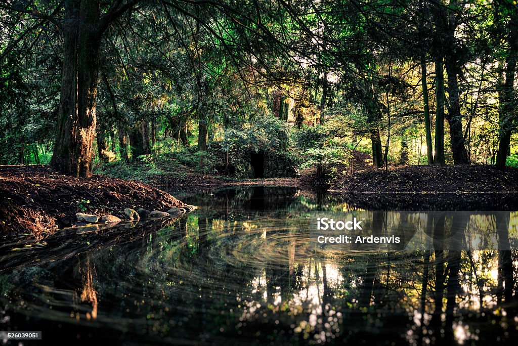 dark cave nella foresta vicino ad un lago, lunga esposizione - Foto stock royalty-free di Acqua