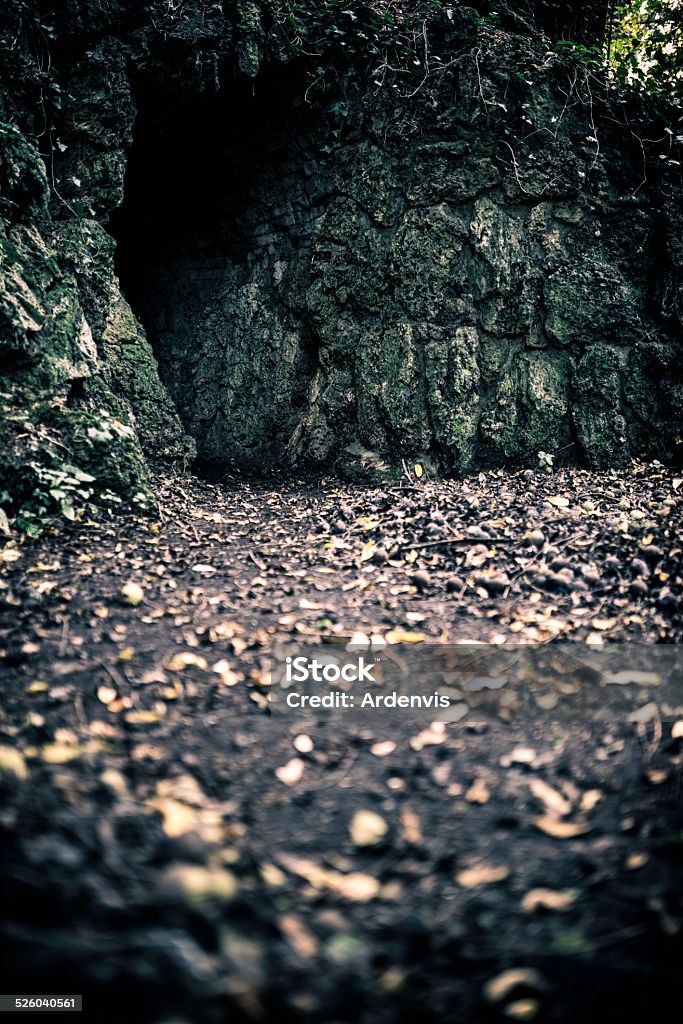 Ingresso della grotta in pietra inquietante circondato da vegetazione - Foto stock royalty-free di Ambientazione esterna