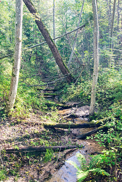 istock view to the Mountain river with Flowing Water 526041839