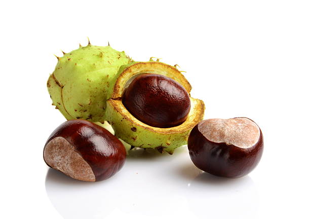 istock Closeup shot few chestnuts isolated on white background 526055333