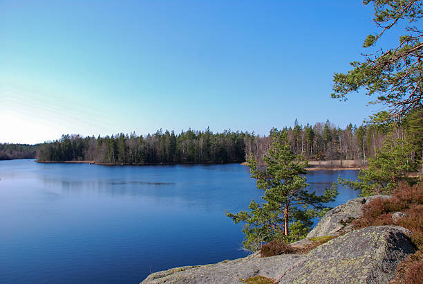 istock Woodland lake scenery 526055773