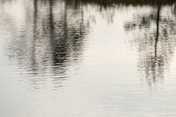 istock abstract reflection of colorful autumn landscape 526056867