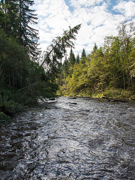 istock view to the Mountain river with Flowing Water 526060545