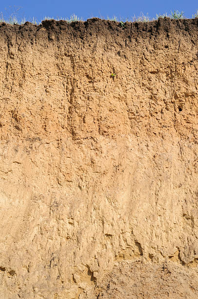 istock Layered cut of soil 526060991