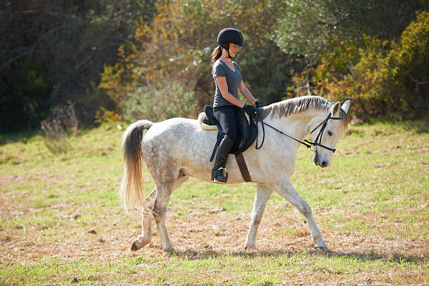 istock Enjoying a quiet horse ride 526070655