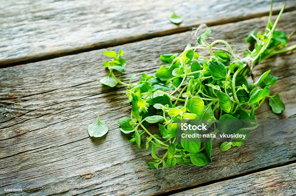 oregano oregano on a dark wood background. tinting. selective focus Close-up Stock Photo