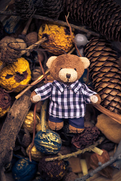 istock Christmas coming teddy bear green conifers cones 526074907