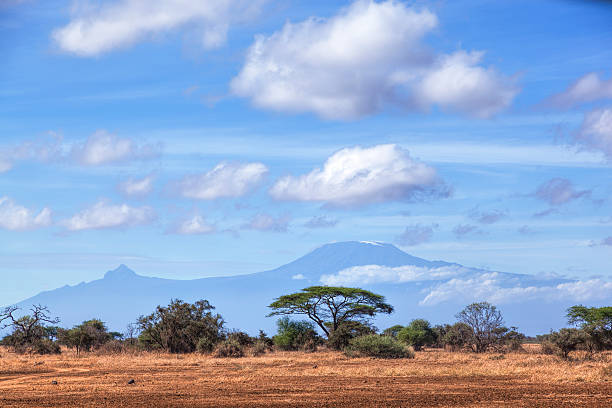 istock African landscape with Kilimanyaro and blue sky. 526075303