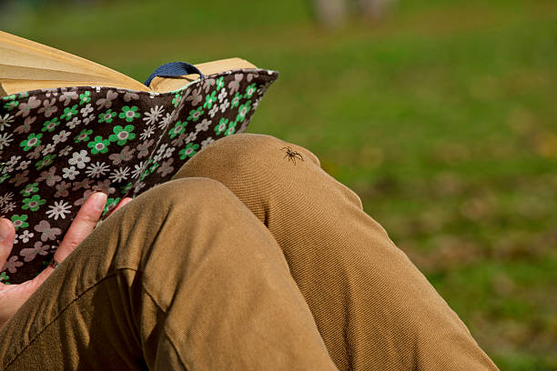 istock Small spider crawling on unsuspecting woman outside in the park. 526075727