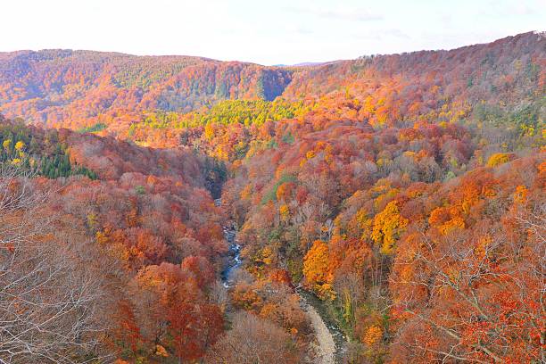 istock Autumn Colors at Jogakura Gorge, Northeastern Japan 526075817