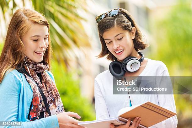 Young Teen Students Comparing Homework Notes Outside School Stock Photo - Download Image Now