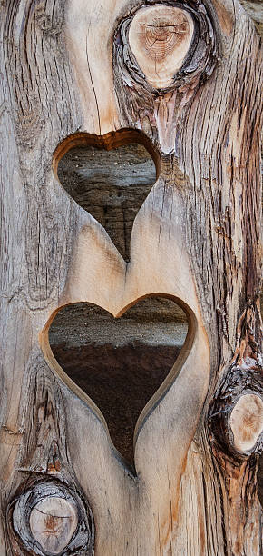 istock Two hearts cut in wood 526088273