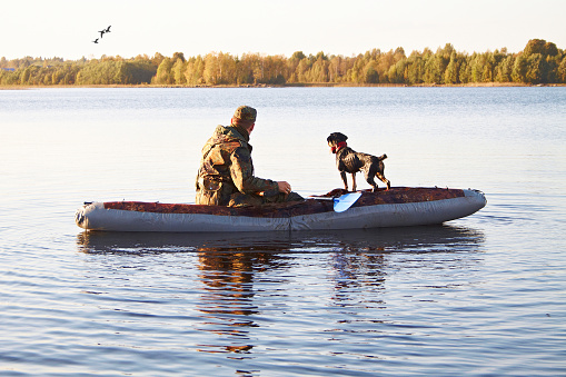 The hunter with a rifle on a lap and a hunting dog sit in an inflatable boat in the middle of the lake, looking out for something