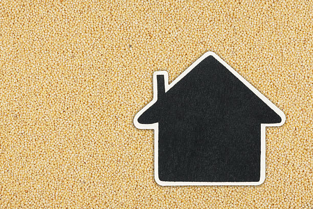 istock House pointer, the price tag lies on  millet 526090413