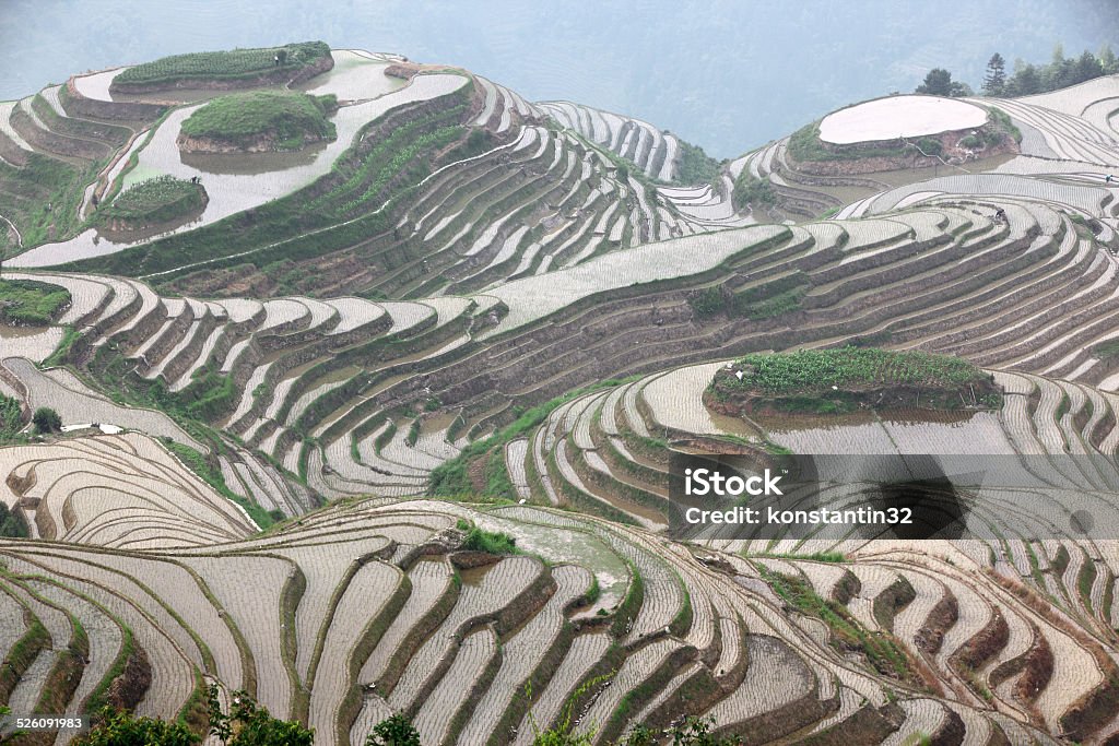 Longji rice terraces, China Longji rice terraces, Guangxi province, China Agriculture Stock Photo