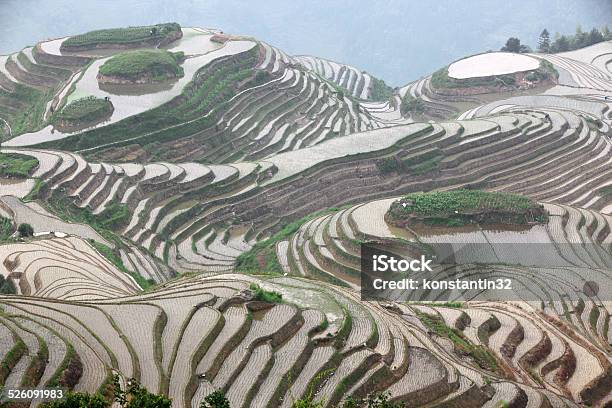 Longji Rice Terraces China Stock Photo - Download Image Now - Agriculture, Asia, Environment