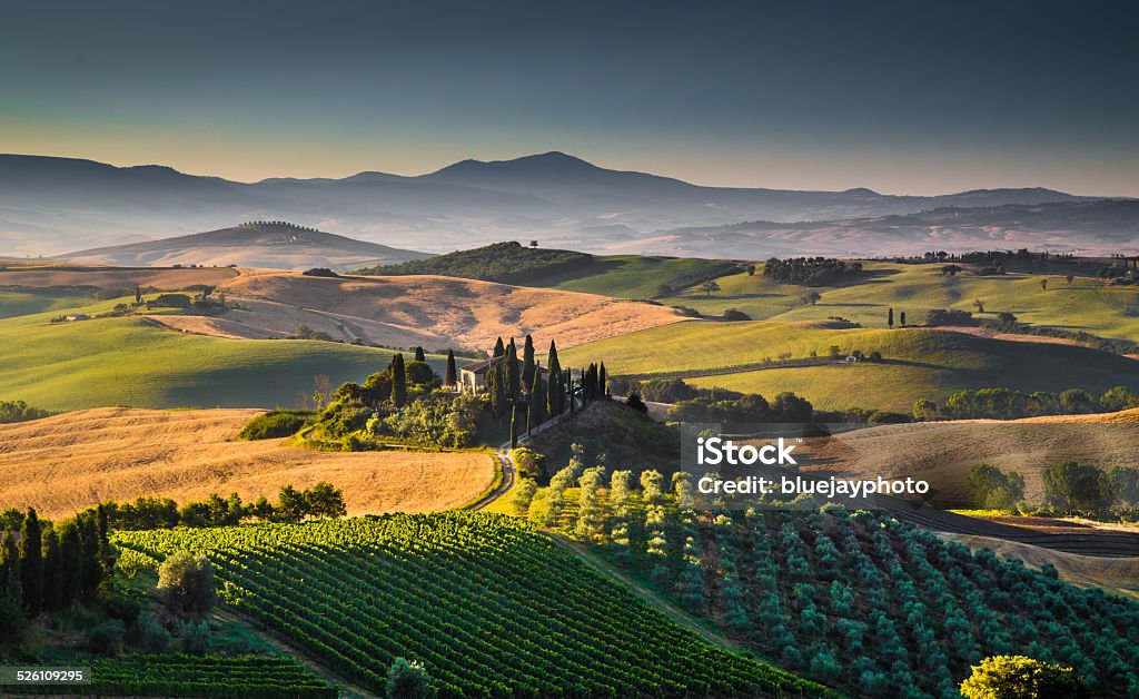 Scenic Tuscany landscape at sunrise, Val d'Orcia, Italy Scenic Tuscany landscape with rolling hills and valleys in golden morning light, Val d'Orcia, Italy Tuscany Stock Photo