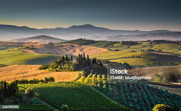 Scenic Tuscany Landscape At Sunrise Val Dorcia Italy Stock Photo - Download Image Now