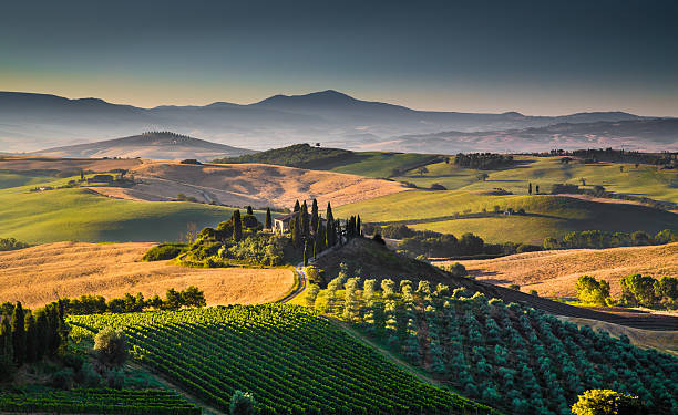 живописные тоскана пейзаж на рассвете, валь д'орча, италия - tuscany vineyard italy agriculture стоковые фото и изображения