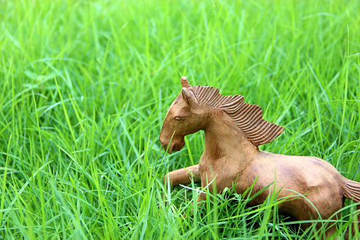 Wooden horse on grass field