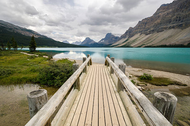 istock wooden bridge on Bow Lake 526109593