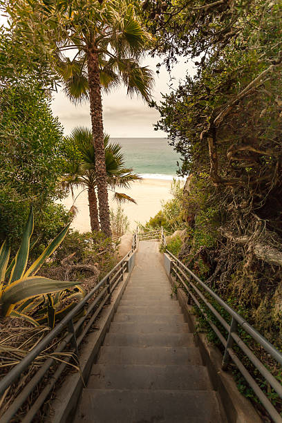 istock Stairway  at Laguna beach , California 526114109
