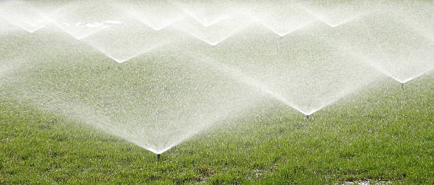 istock Sprinkler spraying water over green grass 526114841