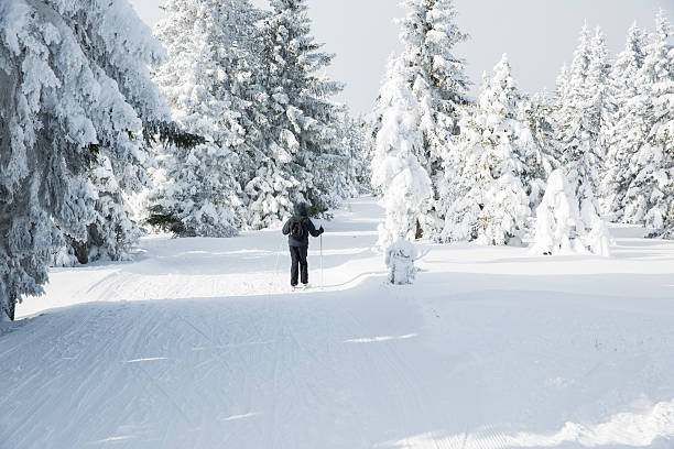 istock Ski runner on a beautiful sunny winter day....Rogla,Slovenia 526116957