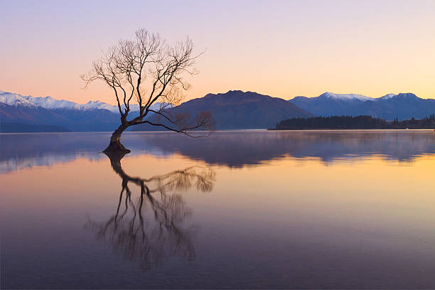 istock The Lake Wanaka at Dawn 526125528