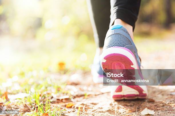 Woman Running Legs In Sunset Forest Stock Photo - Download Image Now - Active Lifestyle, Activity, Adult