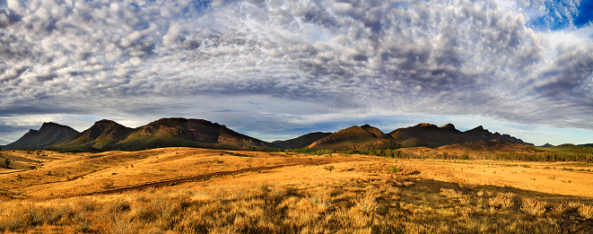 Wilpena pound mountain limestone range in Flinders Ranges national park at morning. Warm sun light highlights outback grass and wildlife.