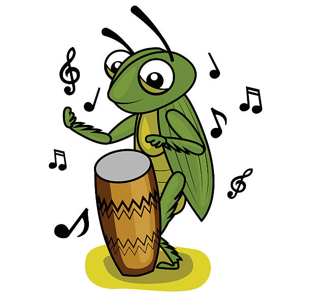 cricket music drum player cricket music drum player cicada stock illustrations