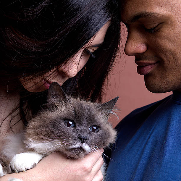 istock woman kissing a cat with her man 526129902