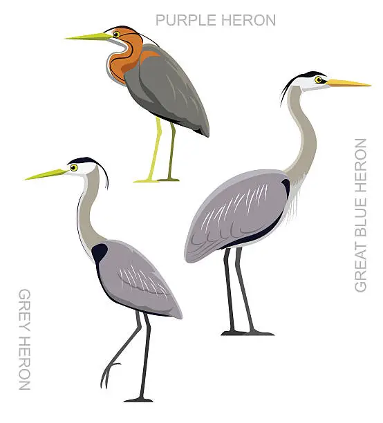Vector illustration of Bird Heron Set Cartoon Vector Illustration