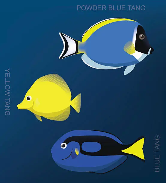 Vector illustration of Reef Surgeonfish Set Cartoon Vector Illustration