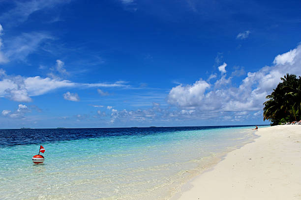The Beach The perfect Beach meeru island photos stock pictures, royalty-free photos & images