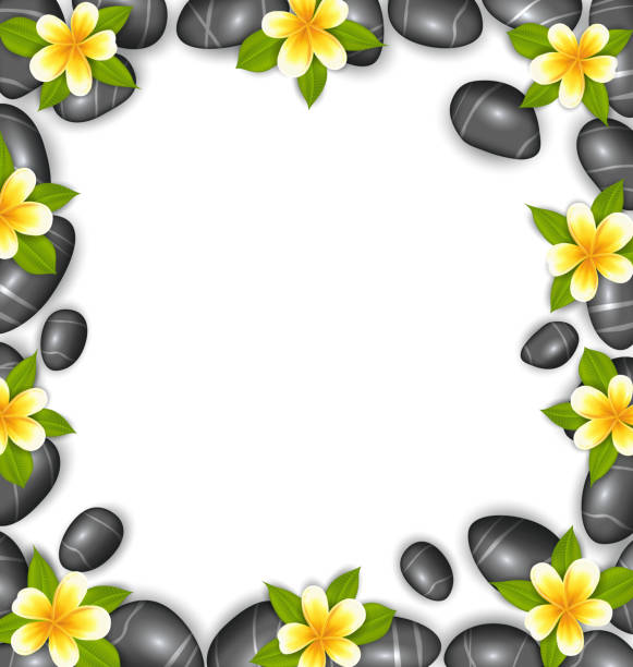 ilustraciones, imágenes clip art, dibujos animados e iconos de stock de frontera realizados en piedras y las flores hermosas - alternative therapy stone zen like nature