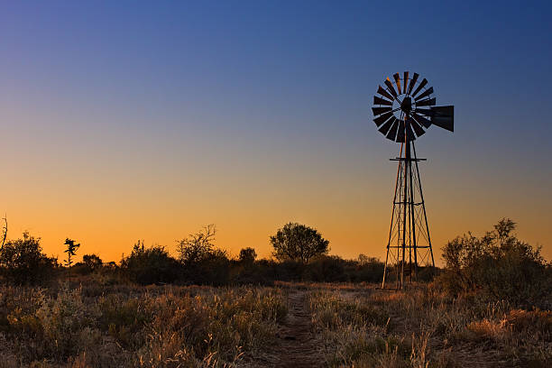 Lovely sunset in Kalahari with windmill and grass stock photo
