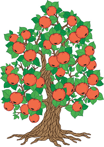 summer vector apple tree with ripe red apples and green leaves