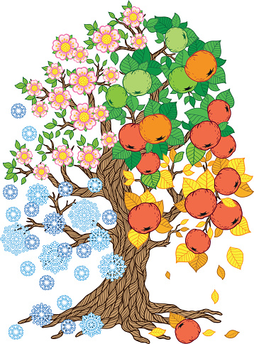 Vector apple tree with ripe red apples, green and yellow leaves, snowflakes and pink flowers. Four seasons of the year on the same tree