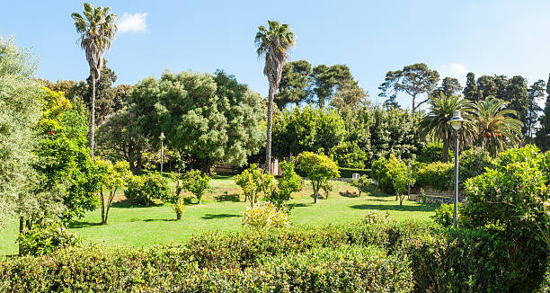istock Monserrato park in spring sassari italy 526139172