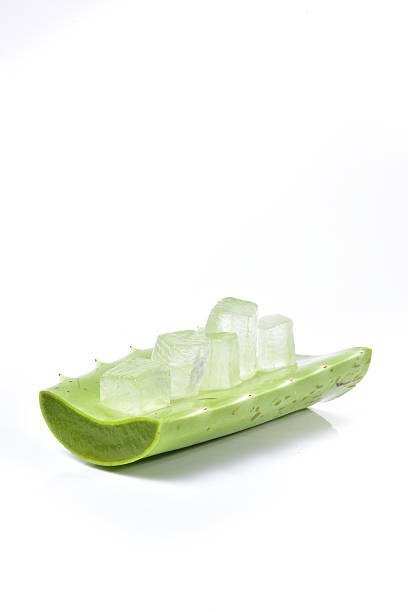 istock Aloe vera leaf and slice isolated on white background 526141692