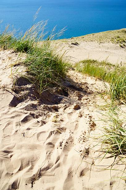 istock Pierce Stocking Scenic Drive, Michigan 526142202