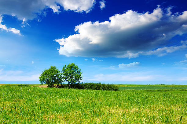 istock Lake and green trees on sky background. 526143780