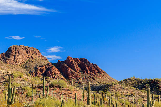 Vulture Peak, in Arizona's Sonoran desert.