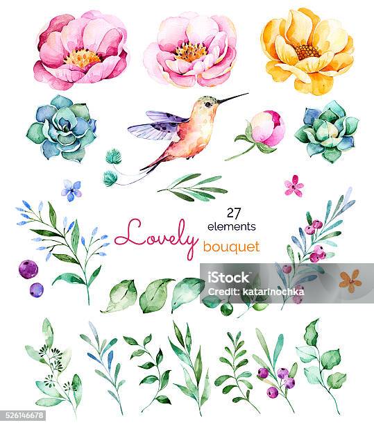 Collection Forale Avec Des Fleurs Roses Feuilles Mortes Branches Des Baies Succulents Vecteurs libres de droits et plus d'images vectorielles de Aquarelle
