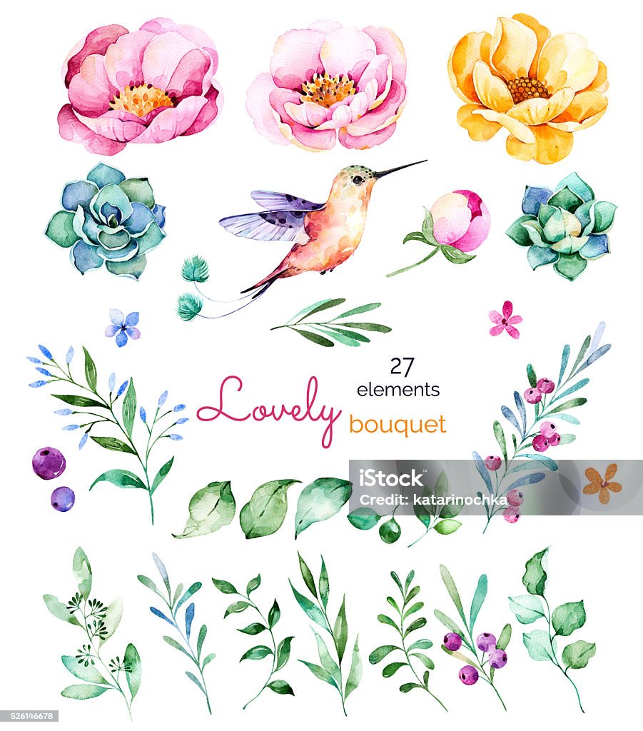 Foral collezione con i fiori, Rose, foglie e rami e bacche, succulents - Illustrazione stock royalty-free di Dipinto ad acquerelli