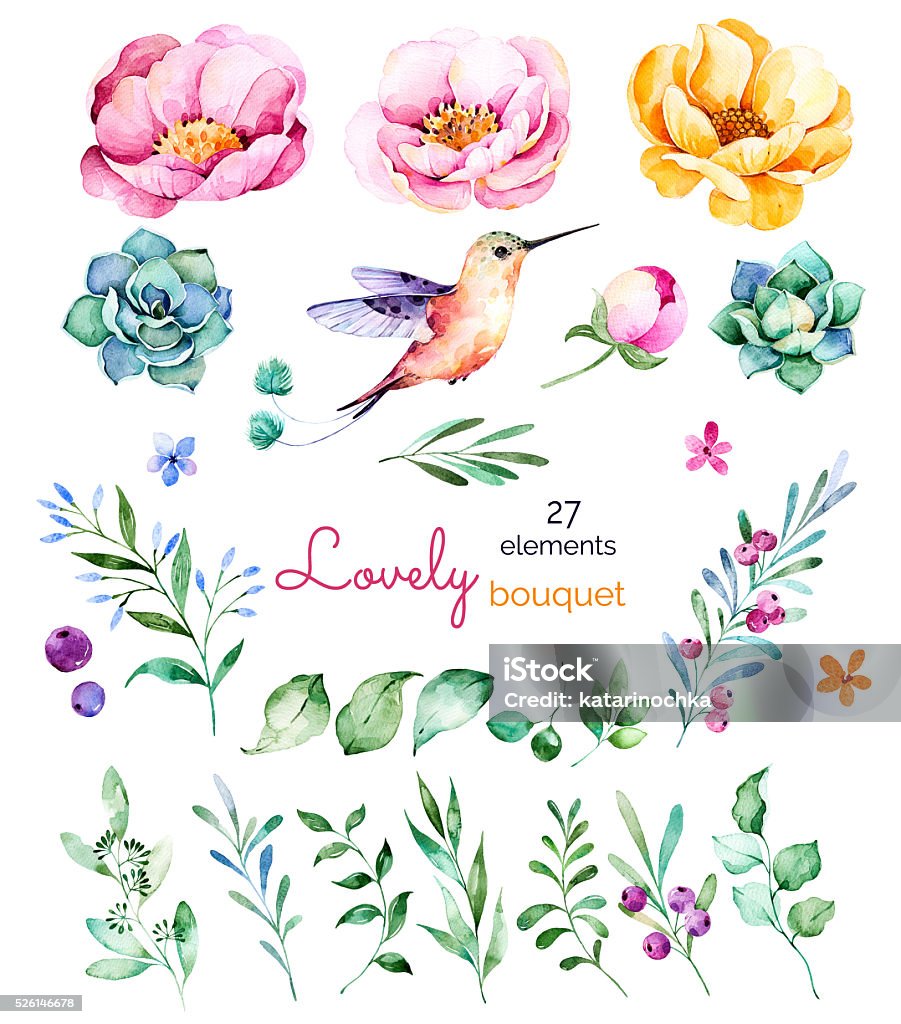 Coleção foral com flores rosas, folhas, galhos, frutas silvestres e verduras - Ilustração de Pintura em Aquarela royalty-free