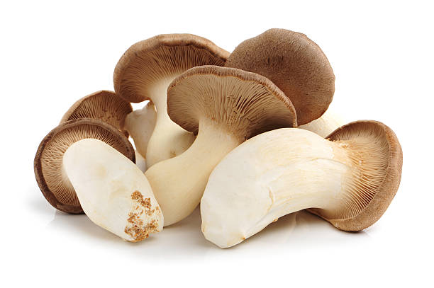 funghi ostrica pleurotus eryngii con letto king size - oyster mushroom edible mushroom fungus vegetable foto e immagini stock